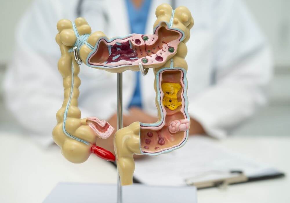 Digestive-Symptoms-Need-Medical-Evaluation